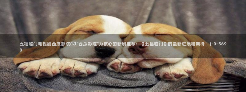 2025西瓜电影免费播放