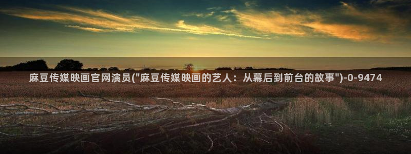 麻豆专题描述