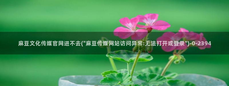 麻豆视频标签规划