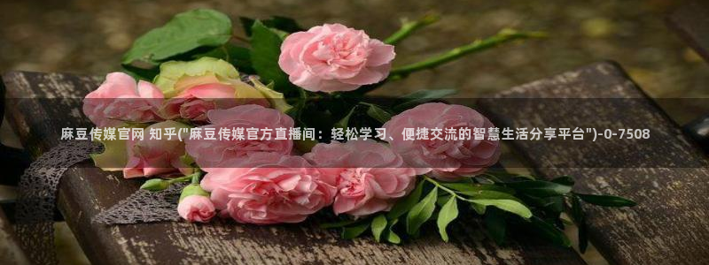 麻豆视频合集文案