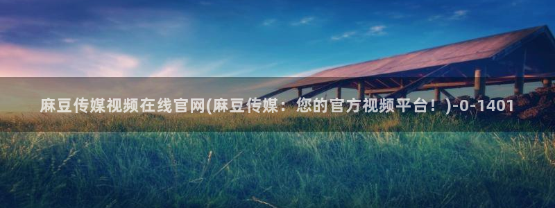 麻豆视频标签规划