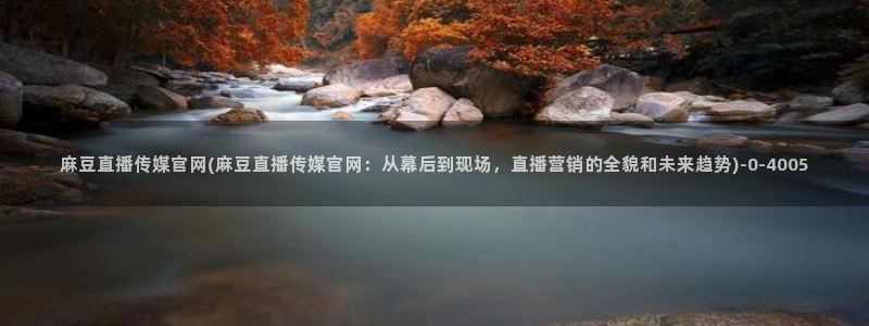 麻豆视频标签：麻豆直播传媒官网(麻豆直播传媒官网：从幕后到现场，直播营销