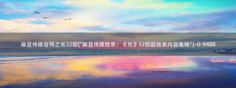 麻豆视频指南文案：麻豆传媒官网之光32部(\