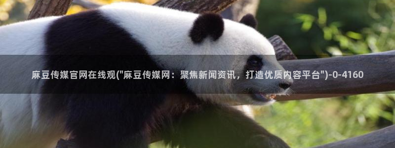 麻豆精选片单：麻豆传媒官网在线观(\