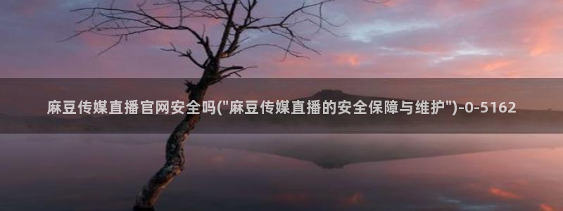 麻豆视频大全：麻豆传媒直播官网安全吗(\