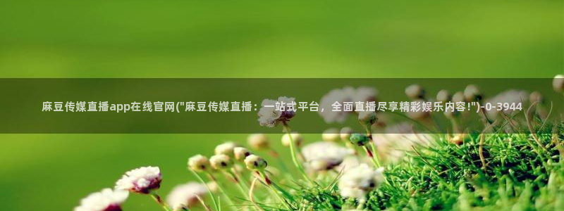 麻豆视频网站