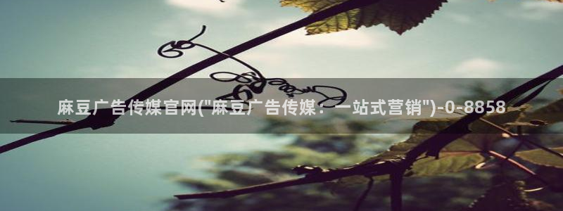 麻豆精选视频