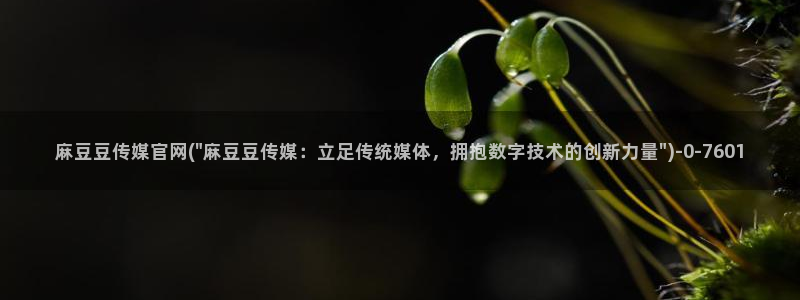 麻豆视频相关推荐词