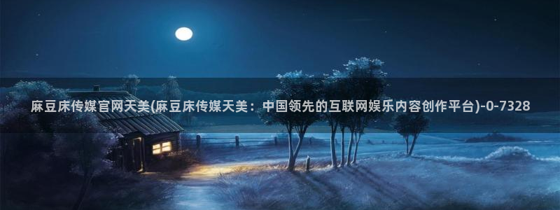 麻豆视频资料文案