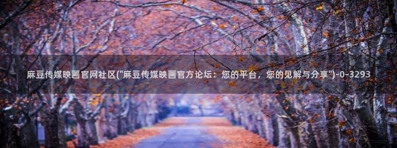 麻豆视频描述规则