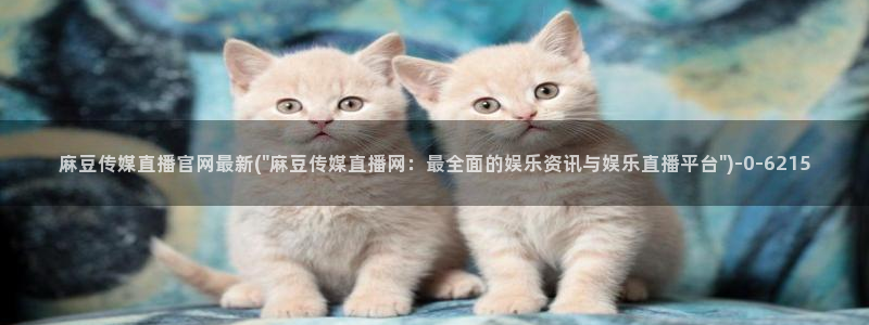 麻豆视频联系页面