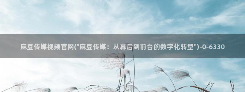 麻豆榜单页