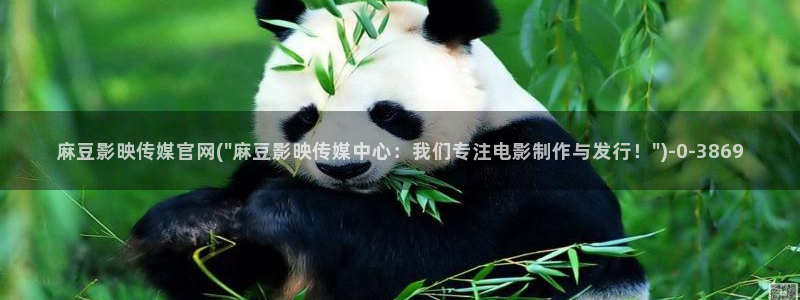 麻豆专题页