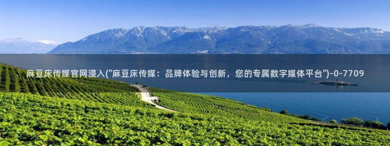 麻豆专题描述