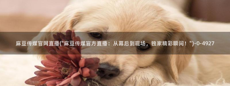 麻豆视频评分