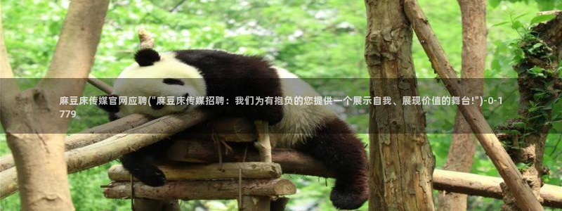 麻豆观看标题