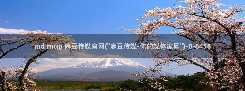 麻豆资讯描述