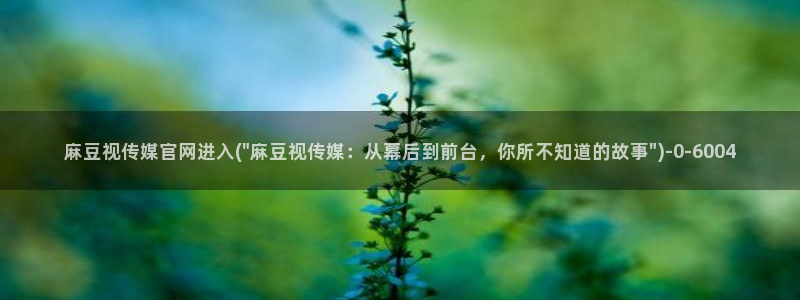 麻豆原创视频