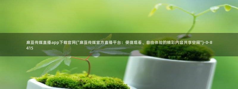 麻豆SEO关键词