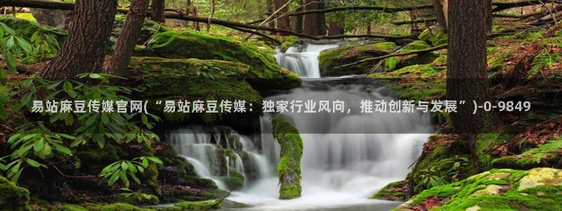 麻豆演员描述：易站麻豆传媒官网(“易站麻豆传媒：独家行业风向，推动创新与